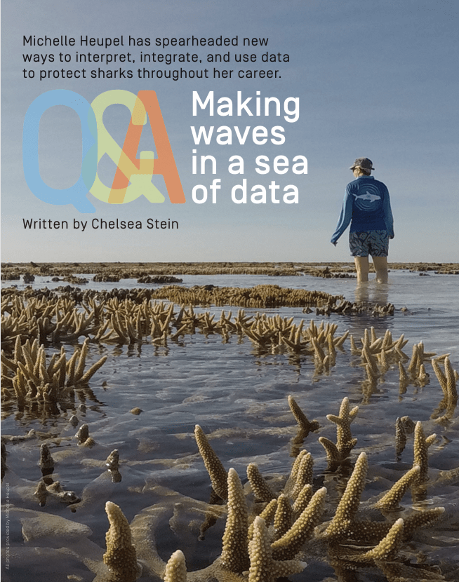 Screenshot of article cover in Shark News magazine.