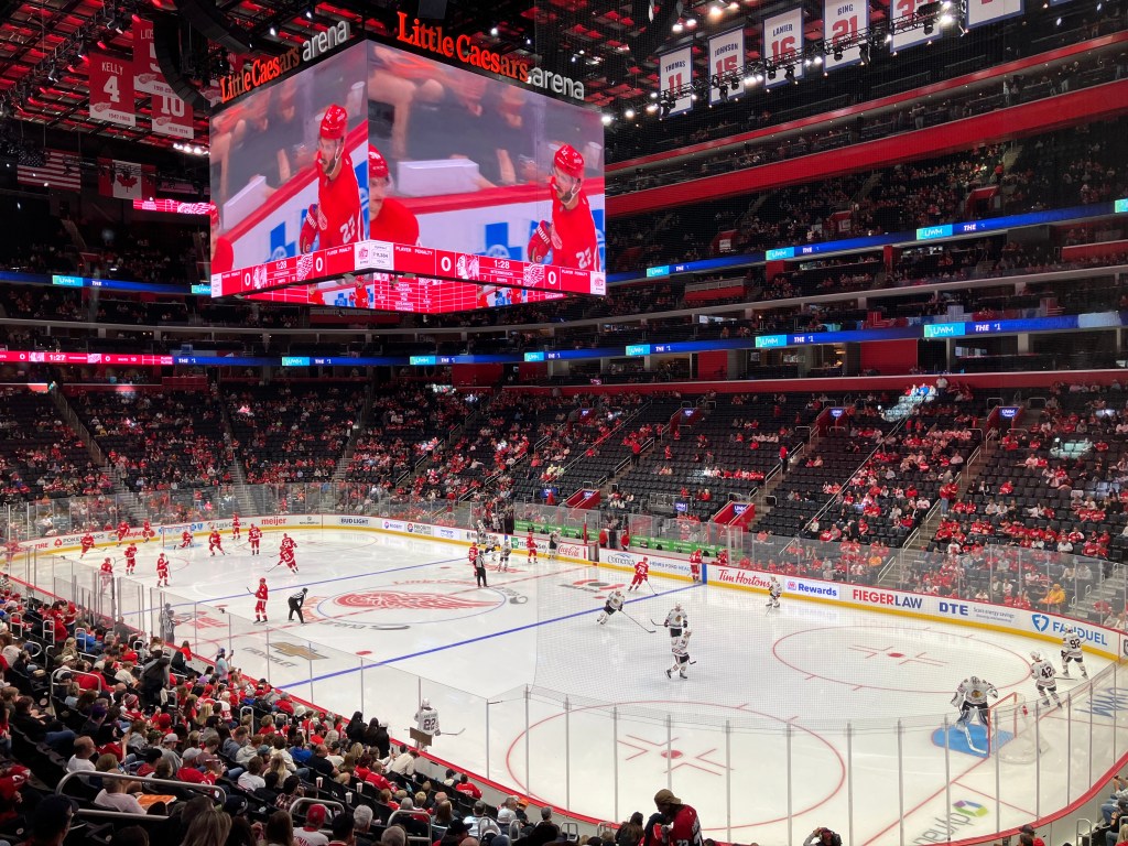 Image of Detroit Red Wings game in 2024.